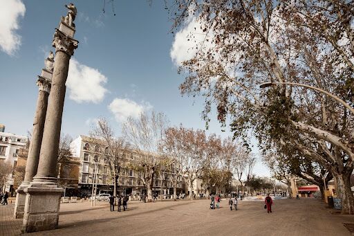 Student Blog: Classes in Italy