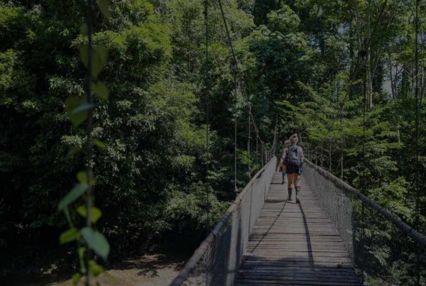 Verto Education students hiking across bridge in Costa Rica