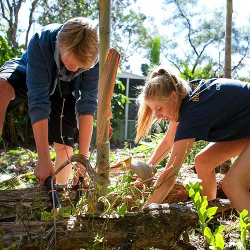 Verto Education students doing fieldwork while traveling abroad