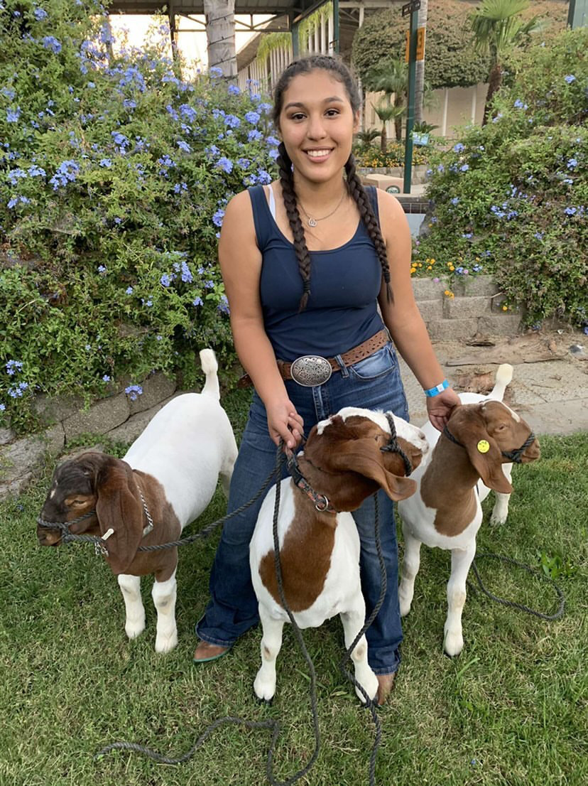 Danitza and more goats for Future Farmers of America