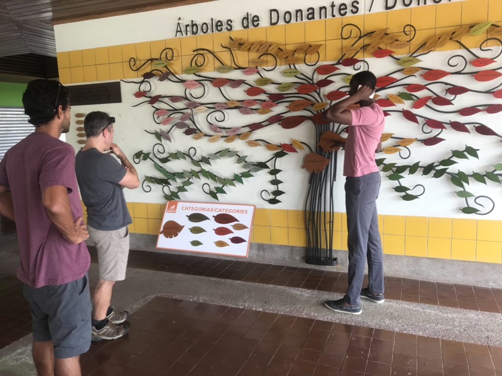 Verto Education students exploring a colorful donor tree wall mural at a local cultural institution abroad