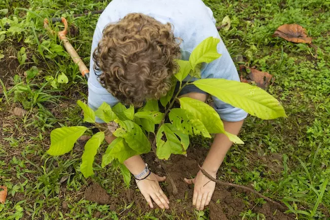 student planting