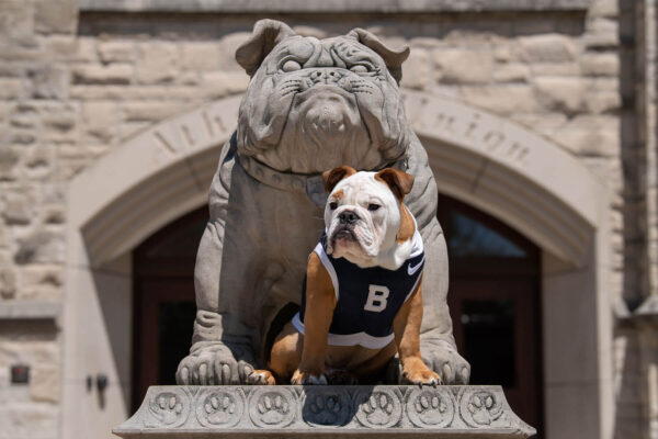 Photo: Butler University mascot bulldog