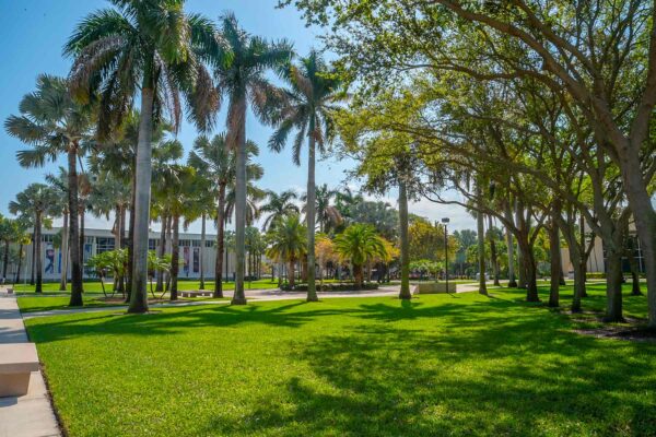 Photo: Florida Atlantic University campus