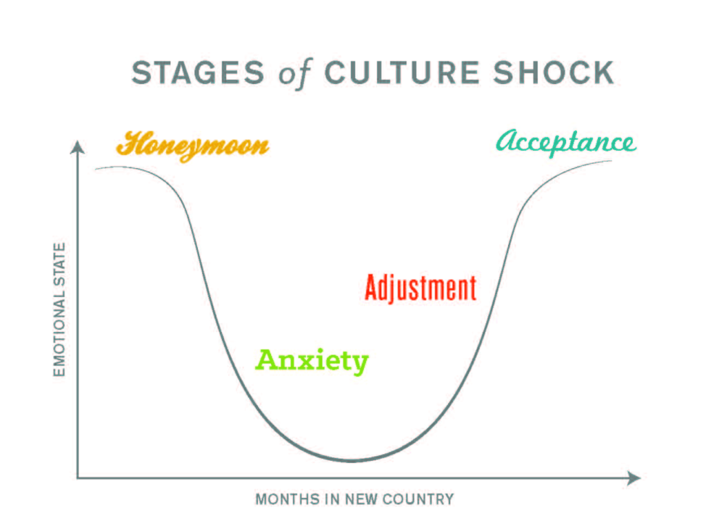 stages of culture shock