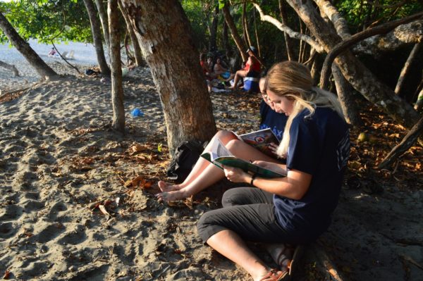studying in the sand